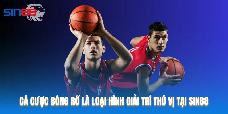 Cá cược bóng rổ là loại hình giải trí thú vị tại Sin88
