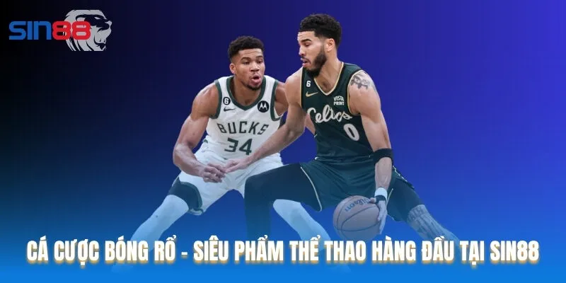 Cá Cược Bóng Rổ - Siêu Phẩm Thể Thao Hàng Đầu Tại Sin88